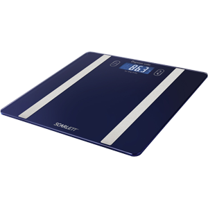 sc-bs33ed82